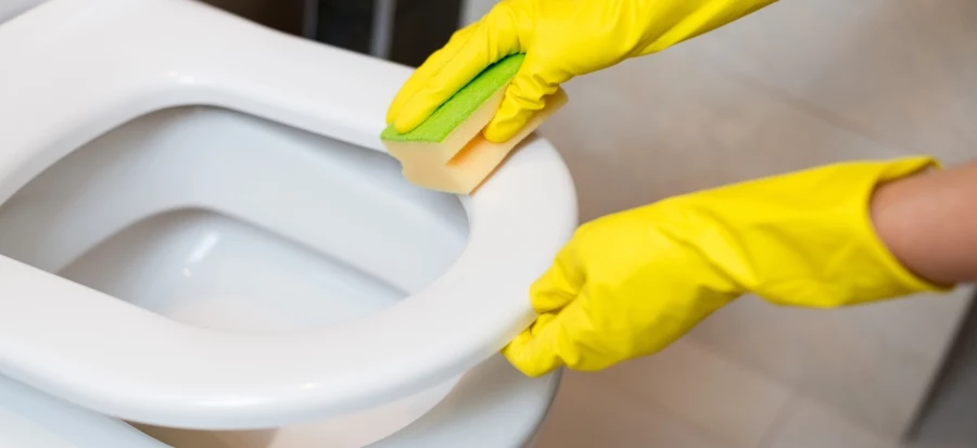 Dzięki olejkowi z cytryny toaleta będzie odkażona i czysta