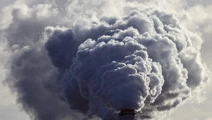 Światowa Organizacja Zdrowia szacuje, że wskutek zanieczyszczeń powietrza co roku umiera na świecie 7 mln ludzi