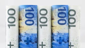 Czy roszczenia banków o zwrot kapitału z kredytów frankowych się przedawniły?