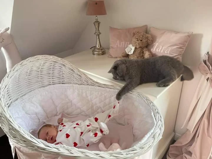 Pupil Kurskich pilnuje ich córeczki Pupil Kurskich pilnuje ich córeczki