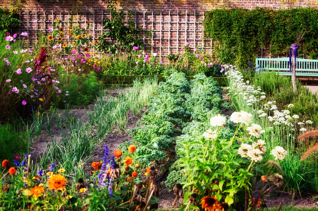 Możemy poprawić jakość gleby w ogrodzie, jej pH, żyzność i strukturę 