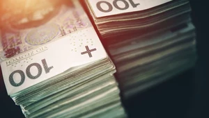 Resort finansów podał dane dot. wykonania budżetu państwa 