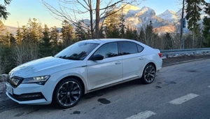 Skoda Superb iV Sportline