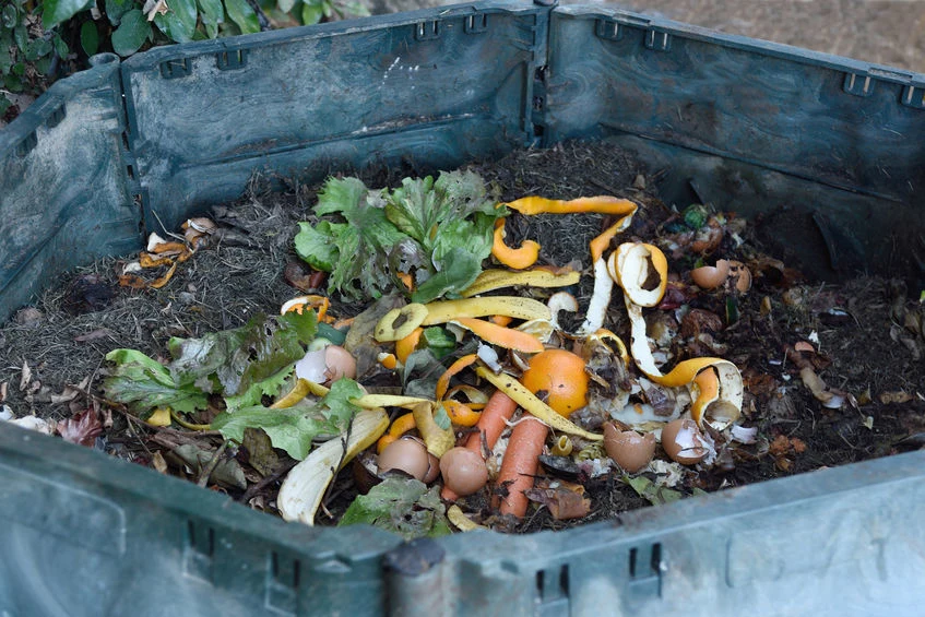 Posiadanie kompostu to łatwy sposób na tani i ekologiczny nawóz