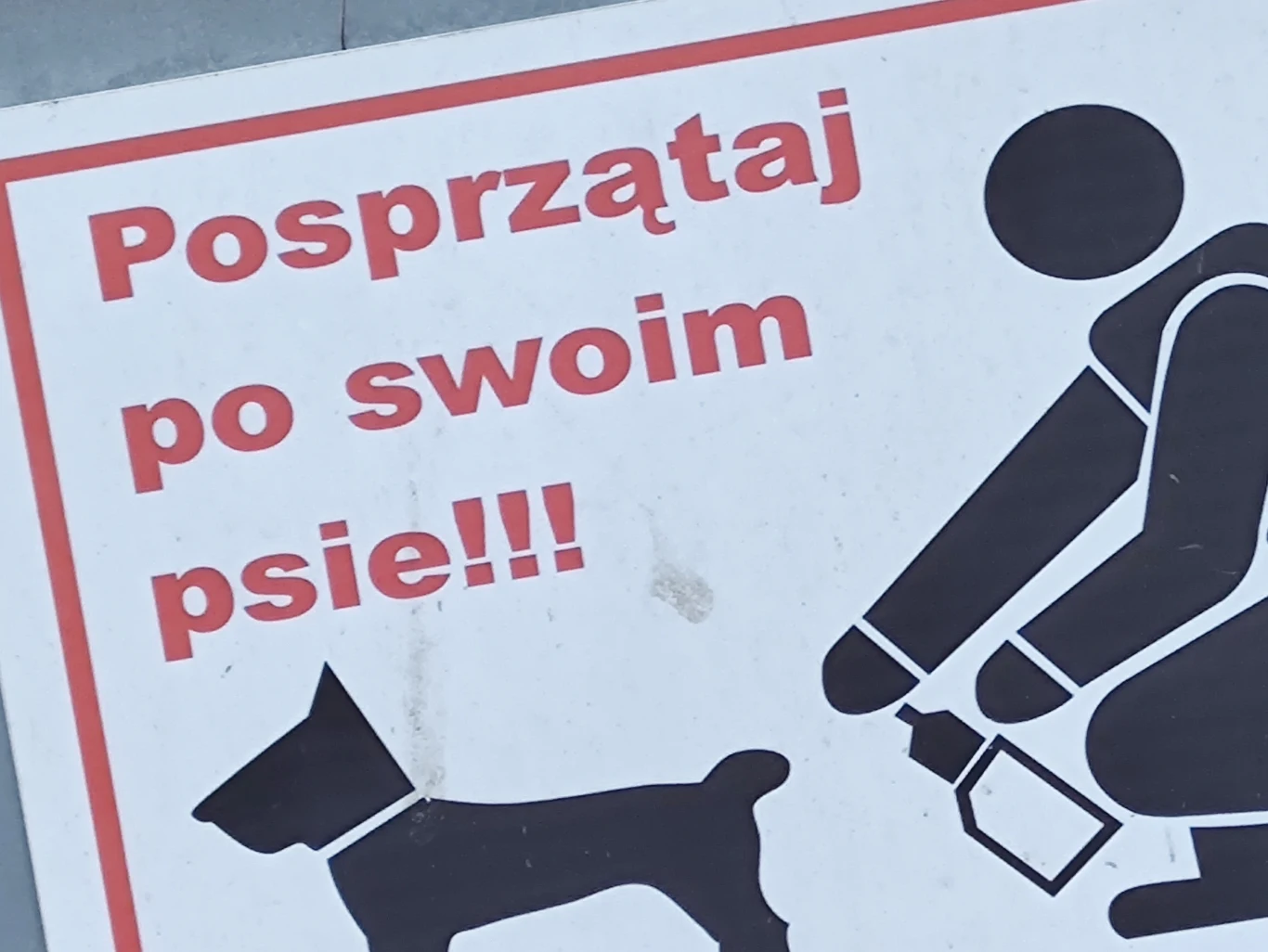 Zdjęcie zoom x8
