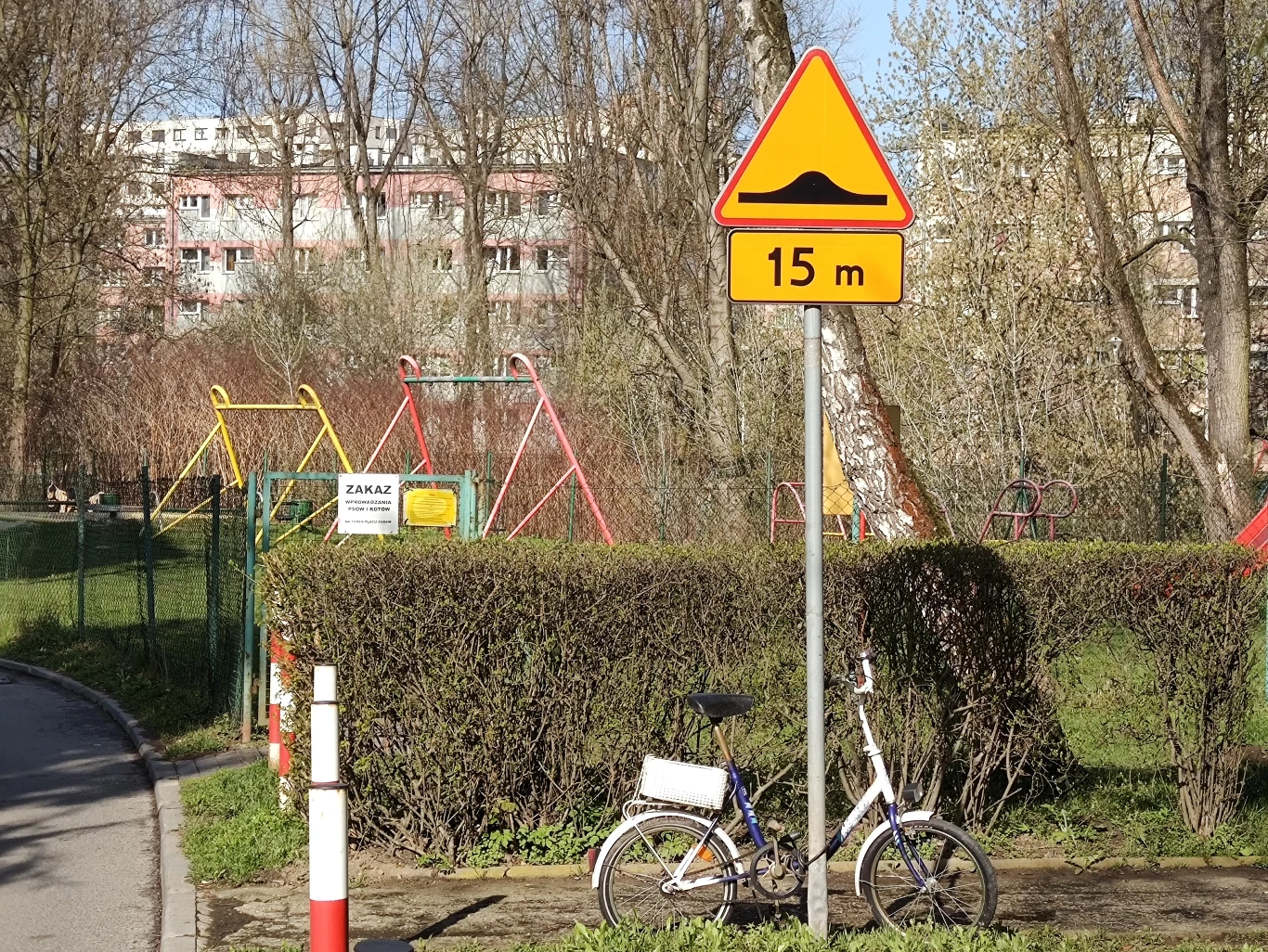 Zdjęcie wykonane moto g100