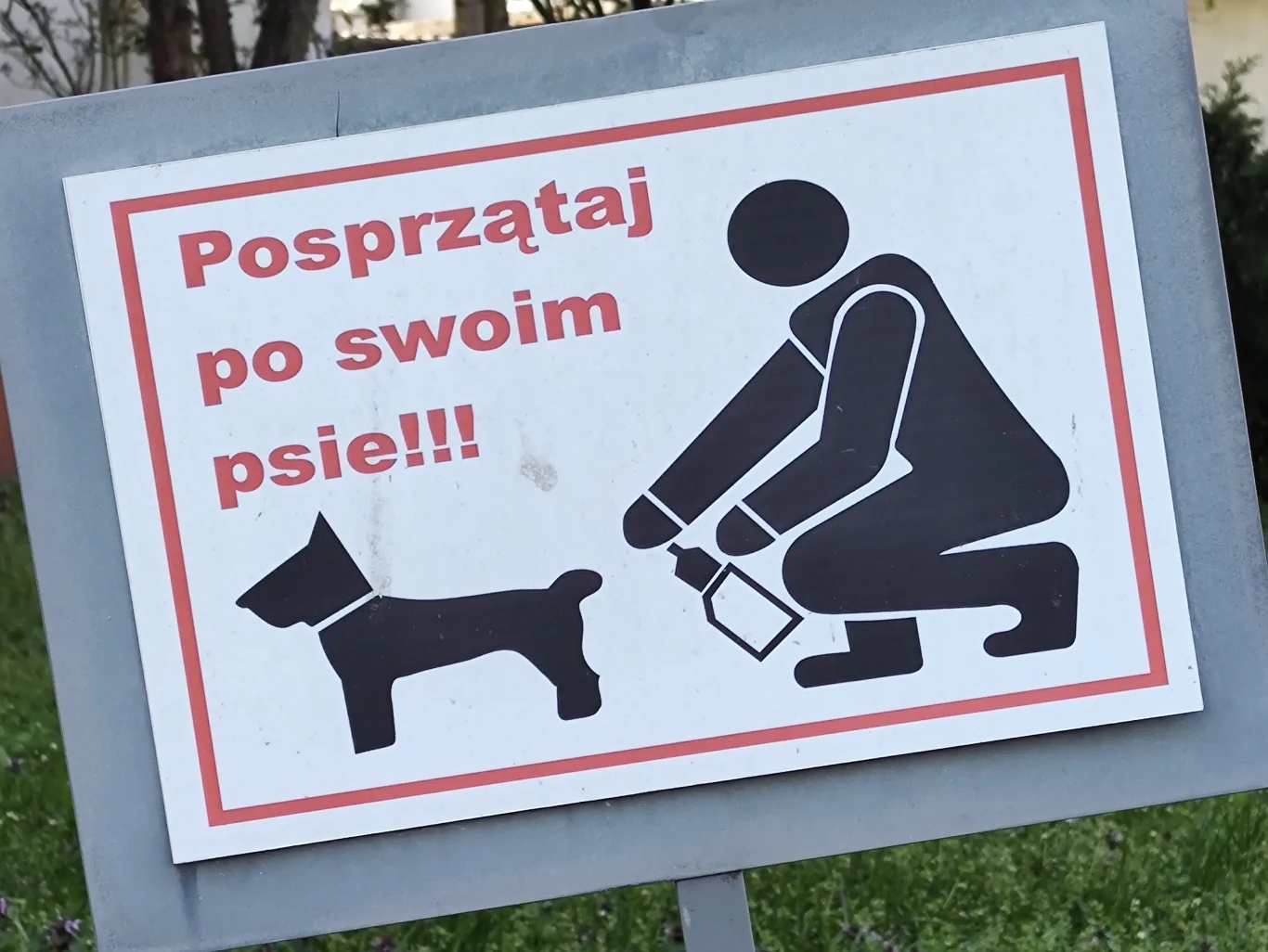 Zdjęcie zoom x4