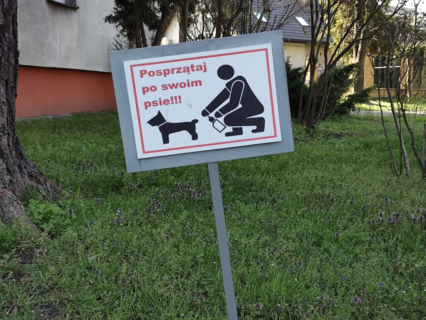 Zdjęcie zoom x2