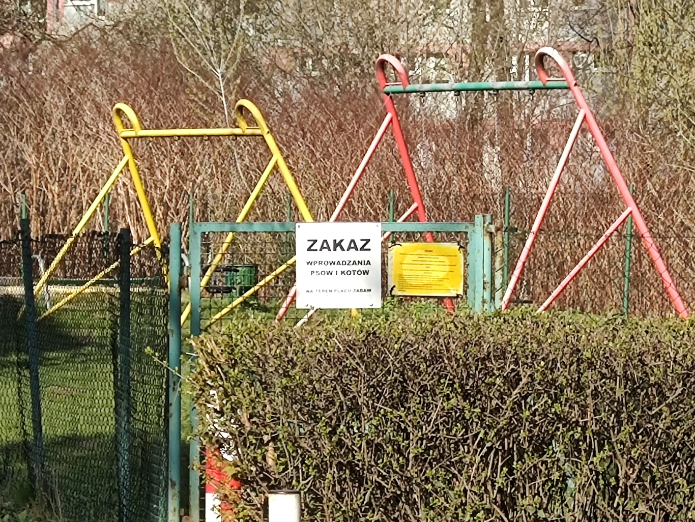 Zdjęcie wykonane moto g100