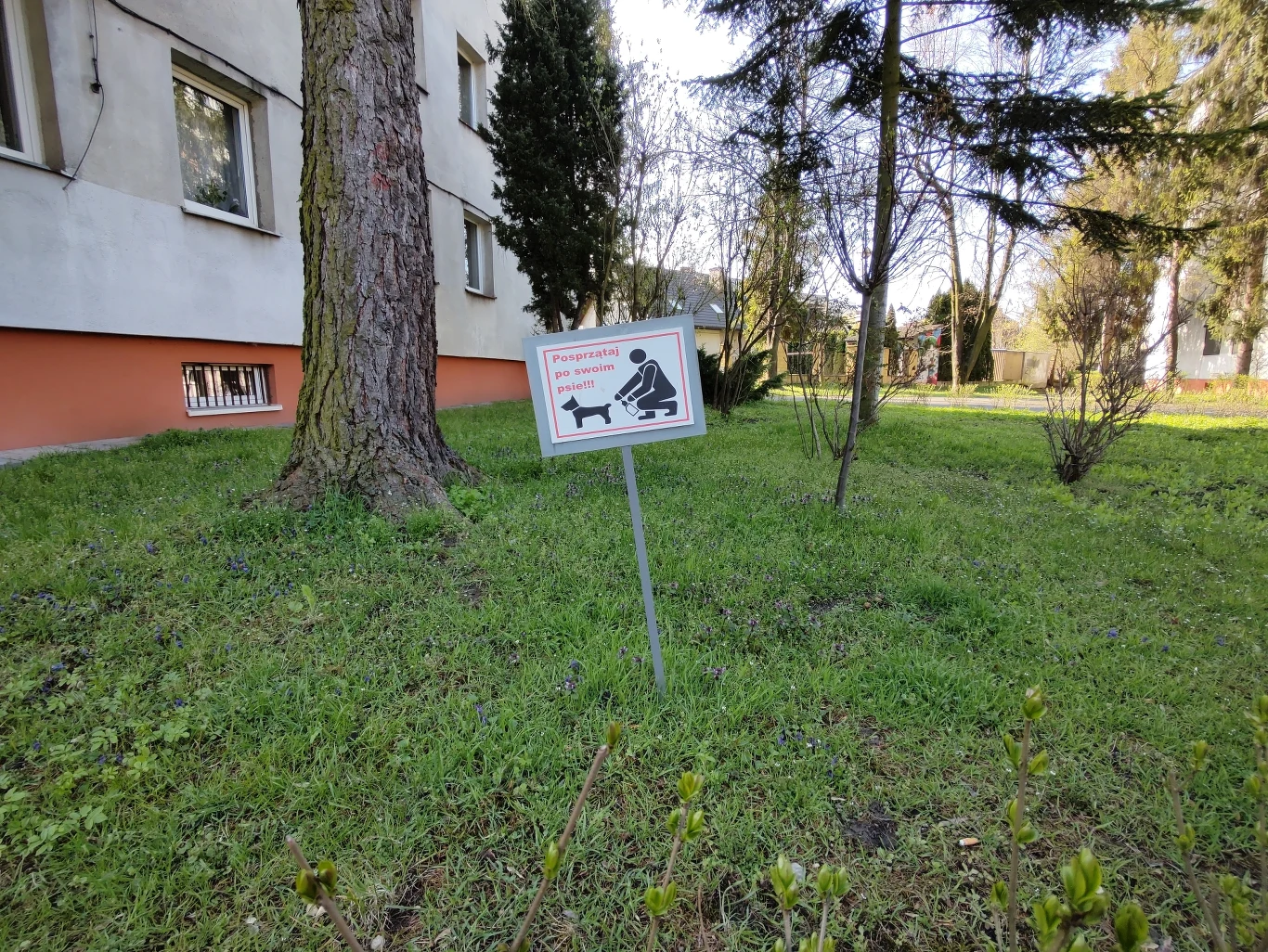 Zdjęcie wykonane obiektywem szerokokątnym