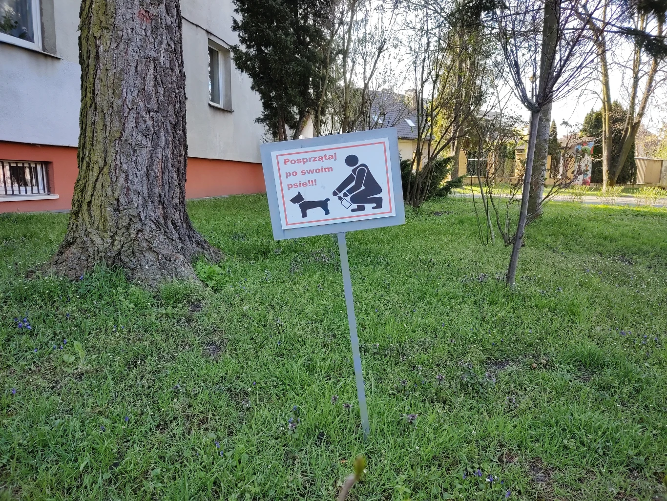 Zdjęcie wykonane obiektywem głównym