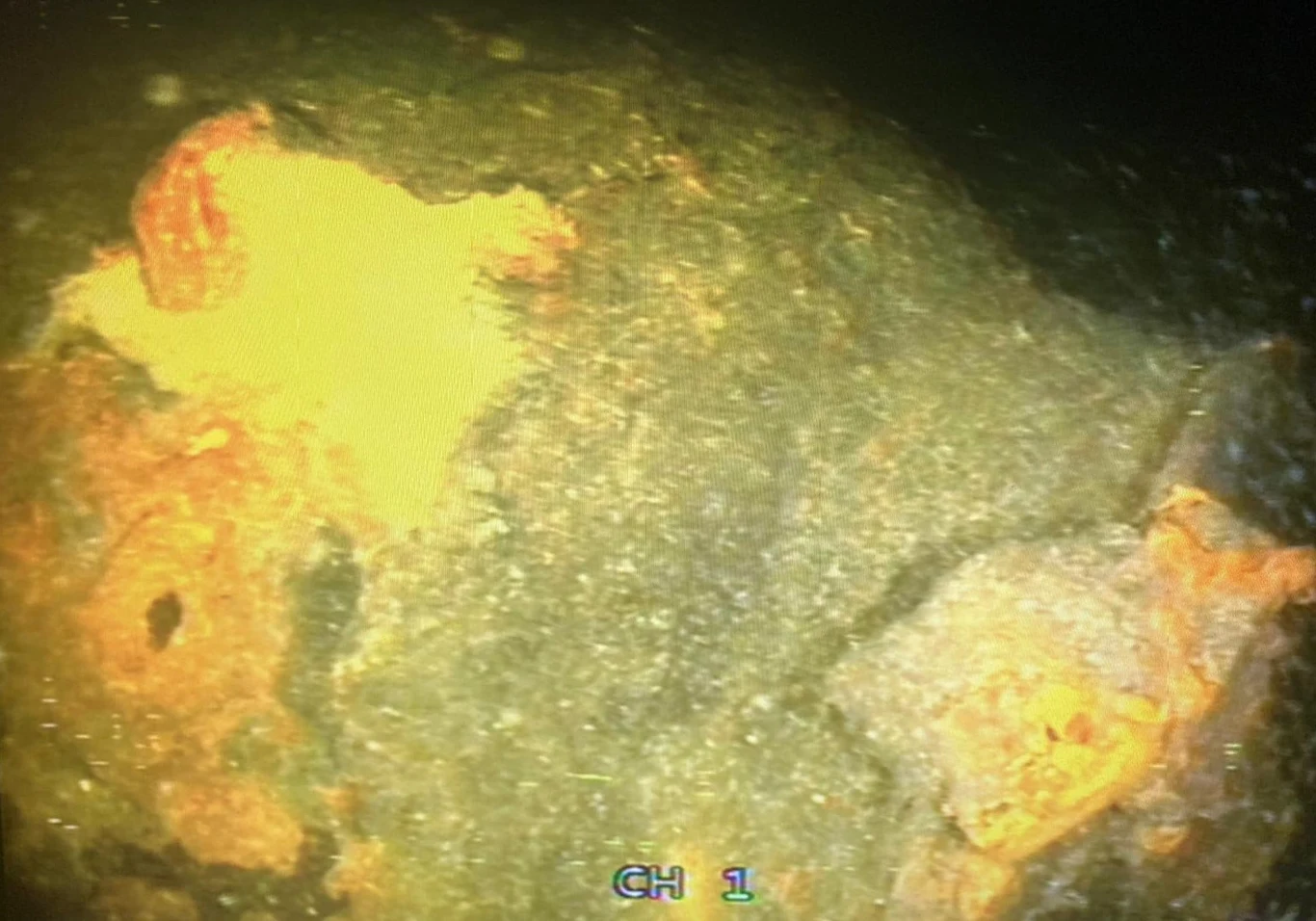 Obraz z kamery podwodnego drona, na którym można rozpoznać minę morską