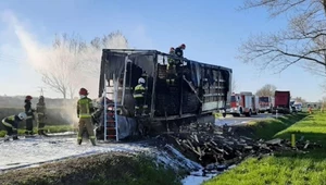 Fotoprzestroga. Pożar i śmierć kierowcy