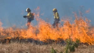 ​Straż Pożarna: Prawie 5,5 tys. pożarów traw w kwietniu