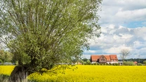 Za serce chwytają stare żuławskie wsie, które zachowały dawny urok i atmosferę.  Tu wciąż stoją domy o pomalowanych na zielono okiennicach, przed którymi rosną malwy. Warte uwagi są też takie miasteczka jak Nowy Dwór Gdański i Nowy Staw.