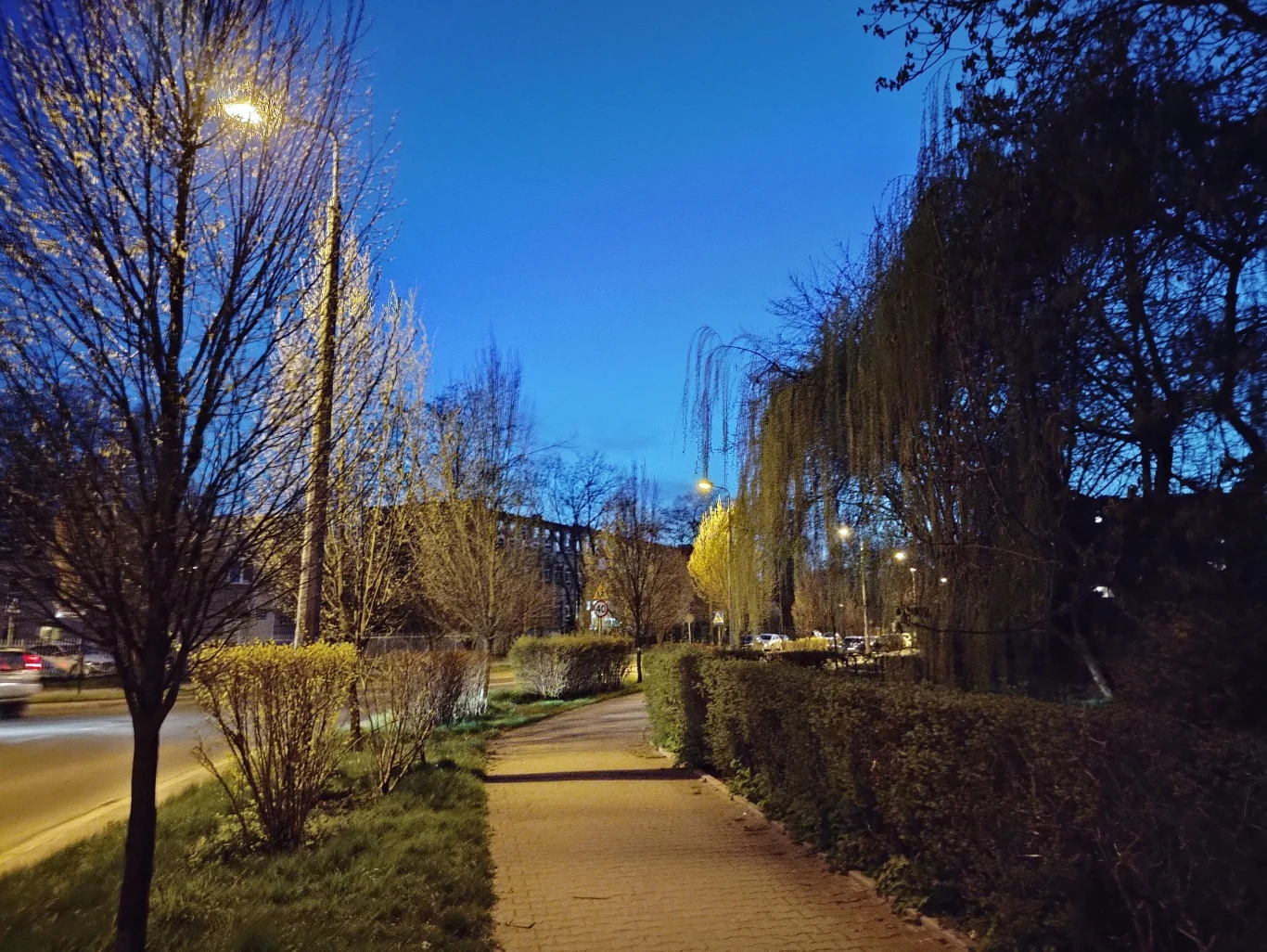 Zdjęcie wykonane w trybie nocnym