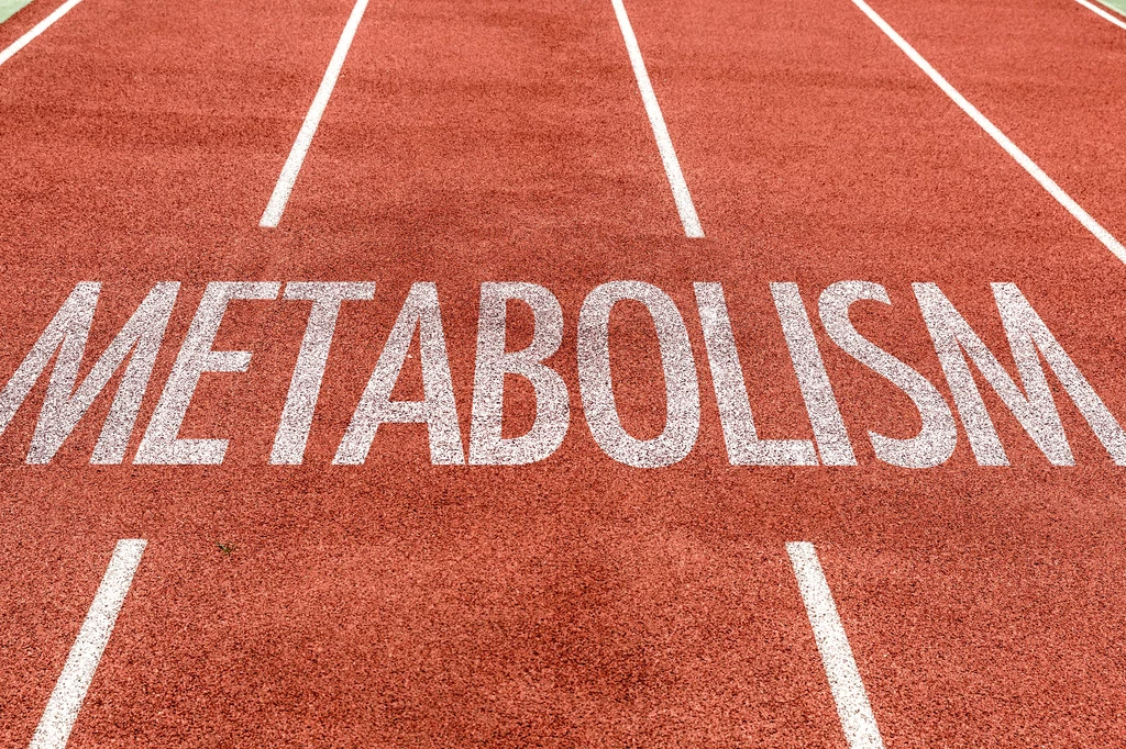 Termogeniki przyspieszają metabolizm, są więc cennymi składnikami diet odchudzających