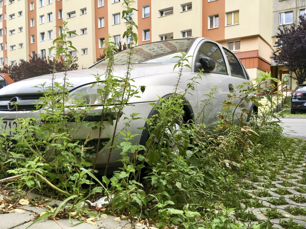 Sam fakt, że auto przestaje jeździć nie zwalnia z konieczności płacenia OC