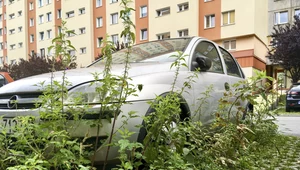 Sam fakt, że auto przestaje jeździć nie zwalnia z konieczności płacenia OC