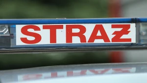 Zdj. ilustracyjne