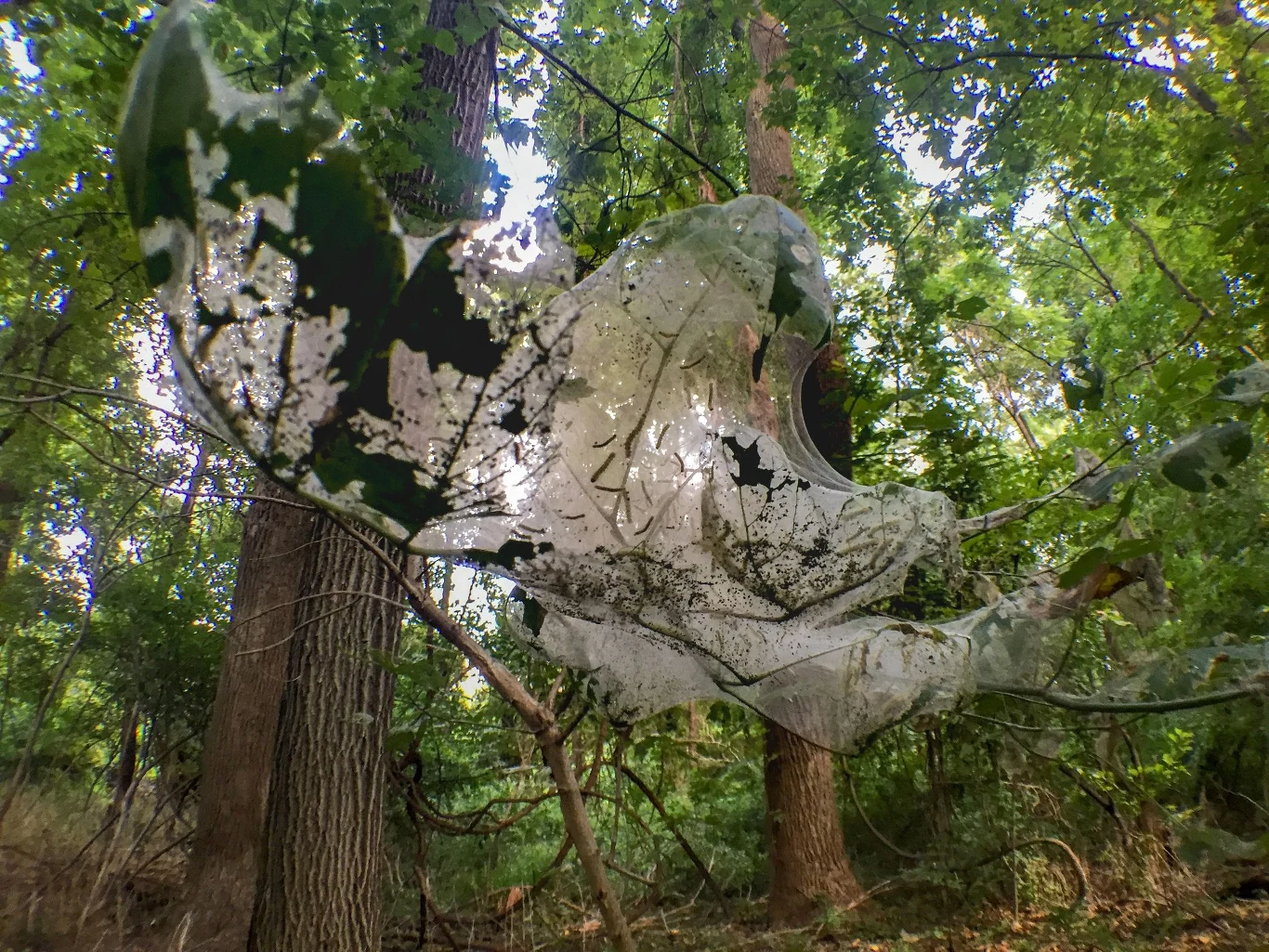 Bliskość natury jest jedną z naturalniejszych rzeczy dla człowieka 