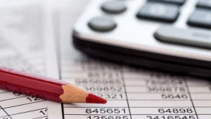 Naukowcy zbadali wpływ podatków na ludzkie zachowania. Zdj. ilustracyjne