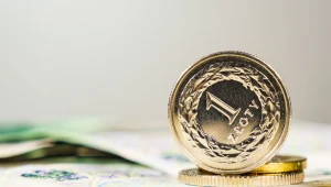 Co dalej z kursem złotego? 