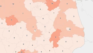 Fragment mapy, prezentowanej na rządowej stronied