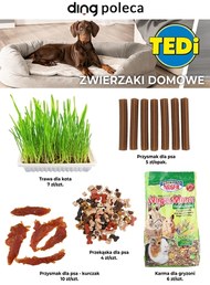 Gazetka miesiąca Tedi!
