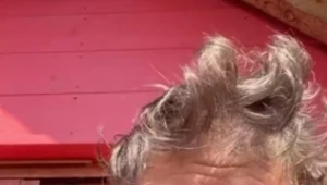 Andrzej Piaseczny dokonał coming outu 