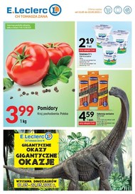 Gigantyczne okazje w E.Leclerc Lublin
