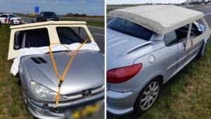 Nietypowy pojazd na holenderskiej autostradzie