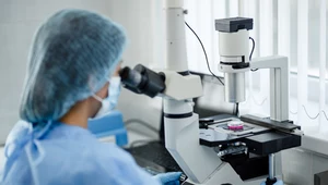 BioMaxima z najwyższą w historii kwartalną wartością sprzedaży