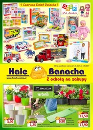 Hale Banacha - oferta przemysłowa