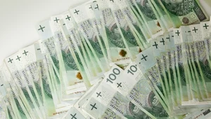 PPK: Pracodawcy oczekiwali wsparcia i dodatkowych benefitów 