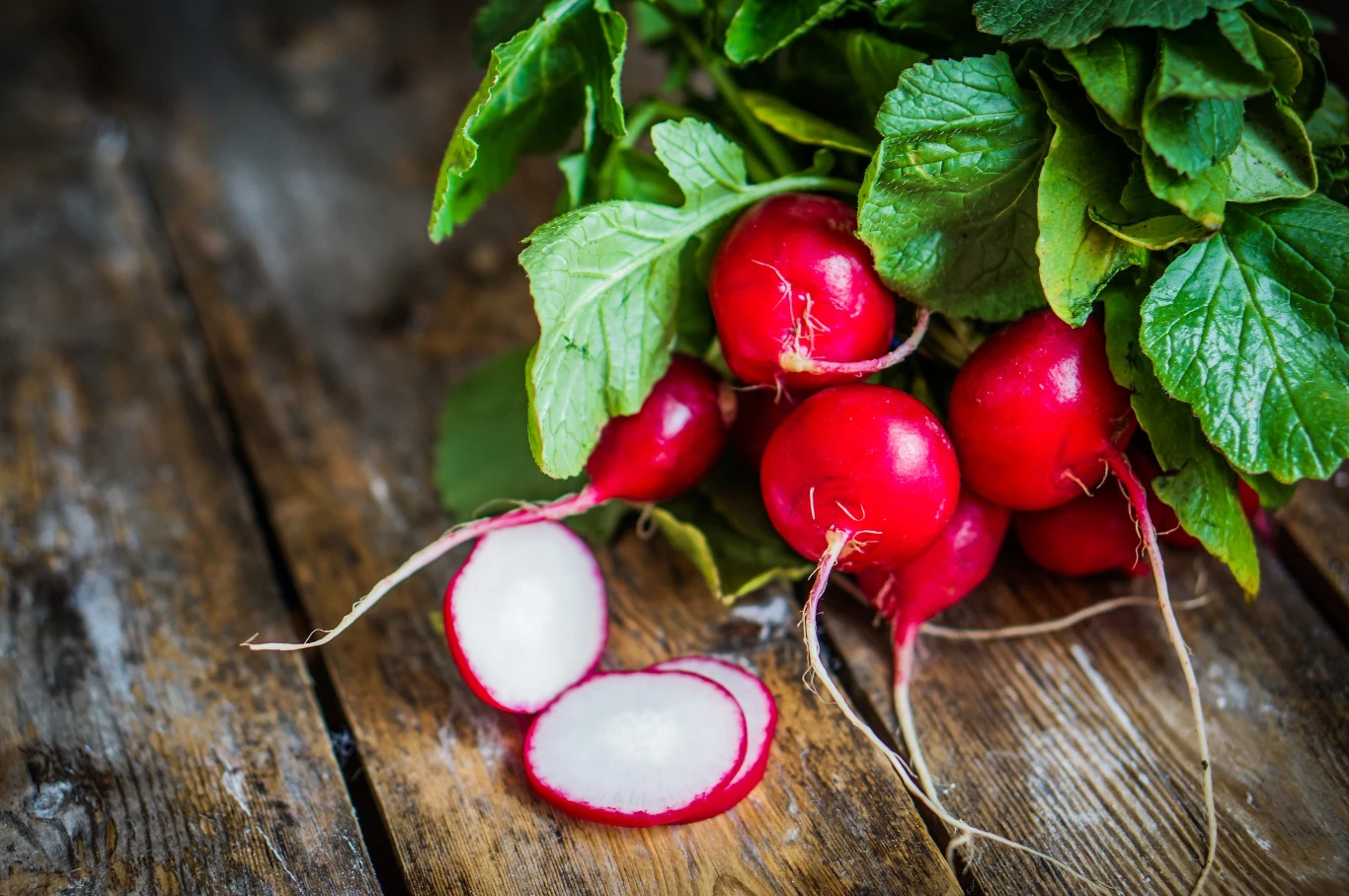 Ciekawostką jest fakt, że liście rzodkiewki również są jadalne i zawierają jeszcze więcej witamin, zwłaszcza witaminy C i żelaza, niż sam korzeń.