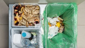 ​Raport: Polacy prawie jednomyślni odnośnie segregacji śmieci