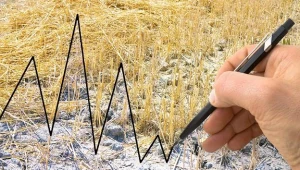 TGE: Giełdowy Rynek Rolny ma być rentowny 