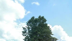 Dwulatek wpadł do wykopu z wodą