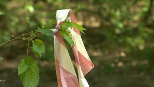 Śledczy wskazali, że "policjanci umieścili nieprzytomnego mężczyznę w radiowozie, po czym wywieźli go wbrew jego woli do lasu w okolicach Pobiedzisk i tam pozostawili. Następnego dnia mężczyzna został znaleziony martwy w pobliżu miejsca, gdzie został pozostawiony"