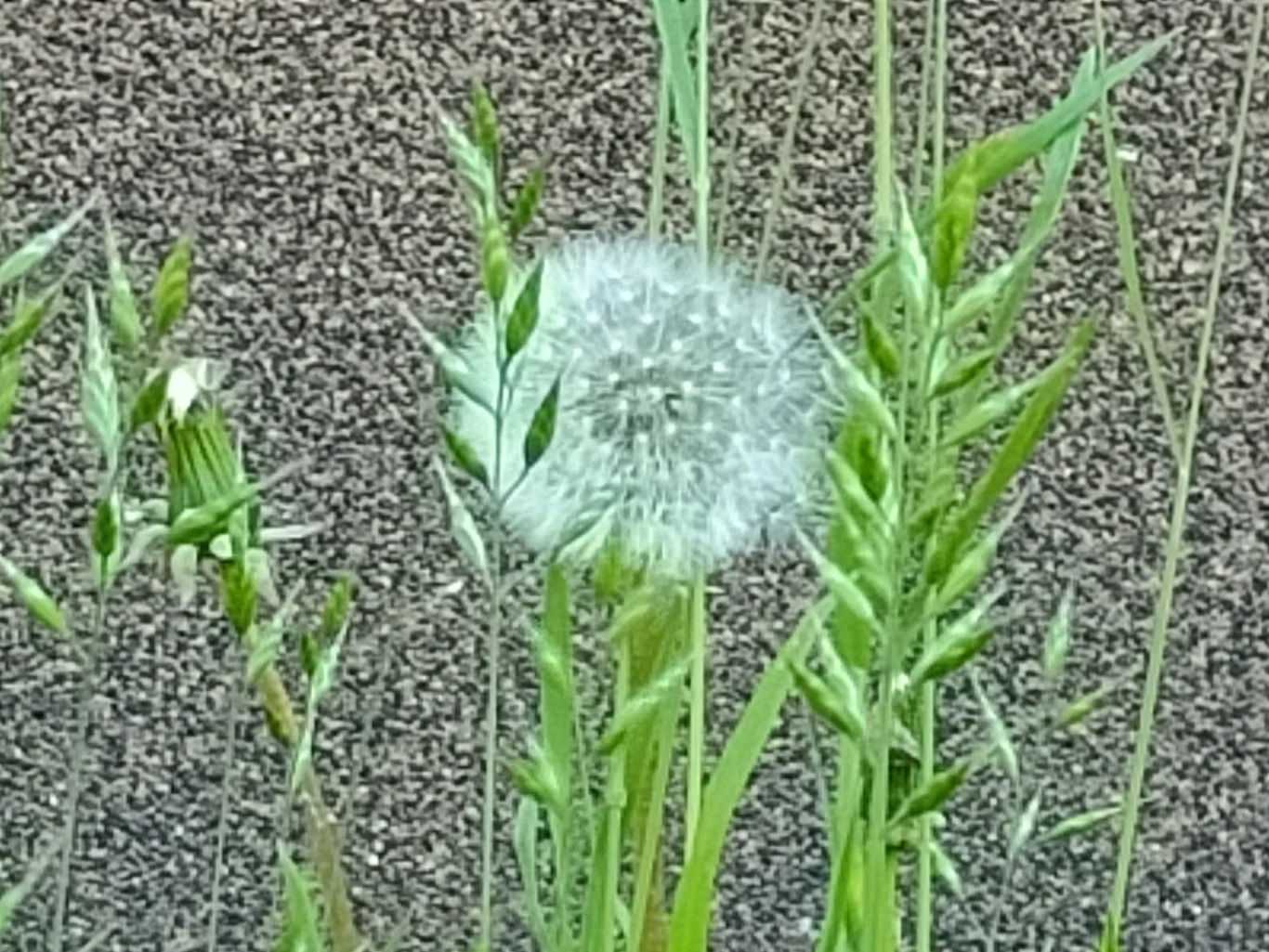Zoom x10 Zoom x10