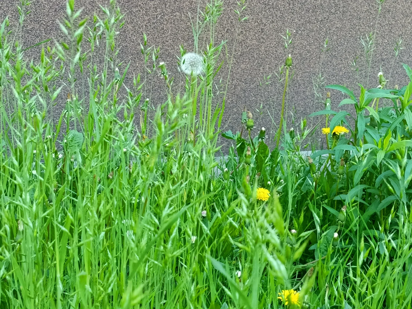 Zoom x2 Zoom x2