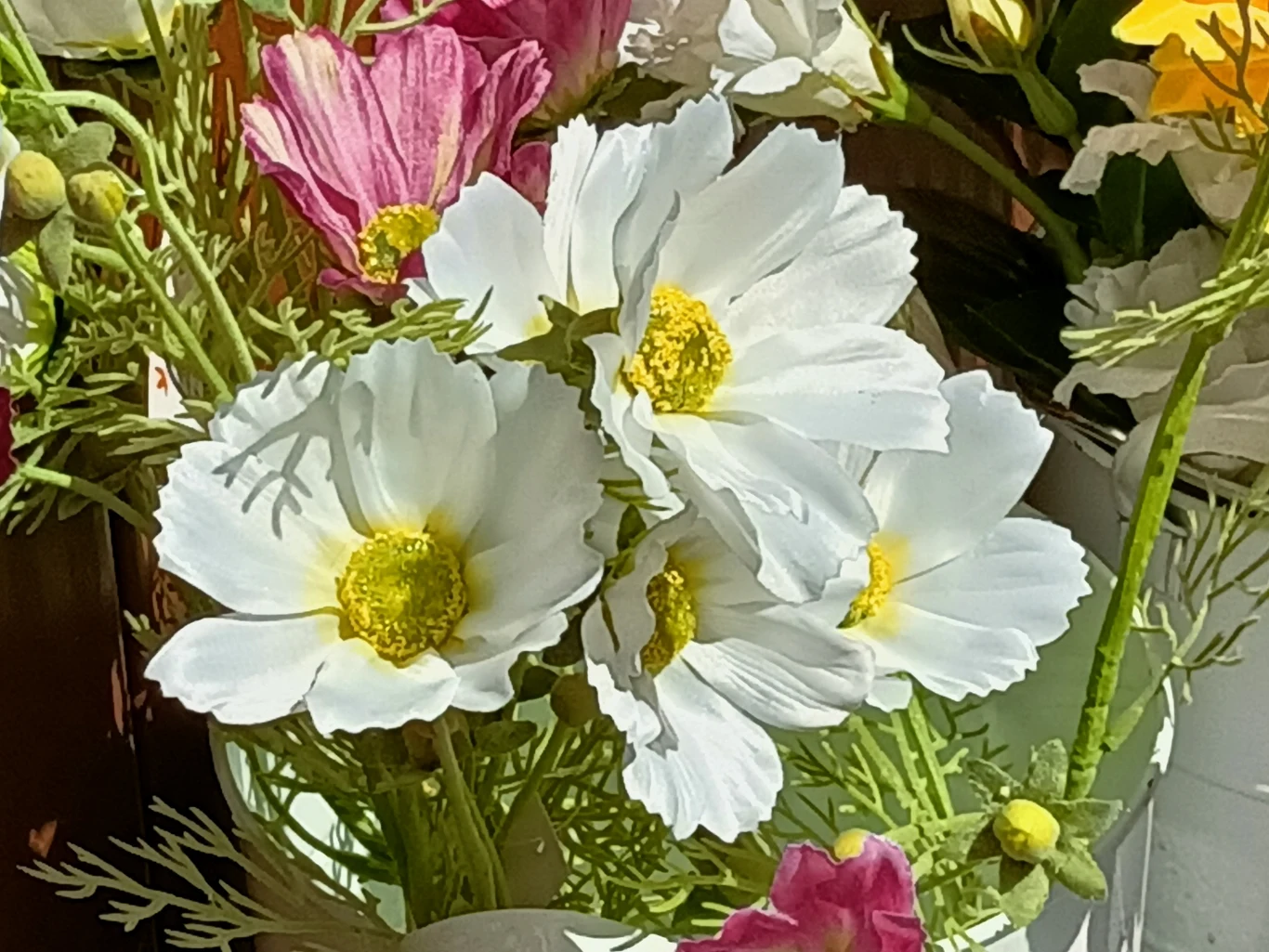 Zoom x5 Zoom x5