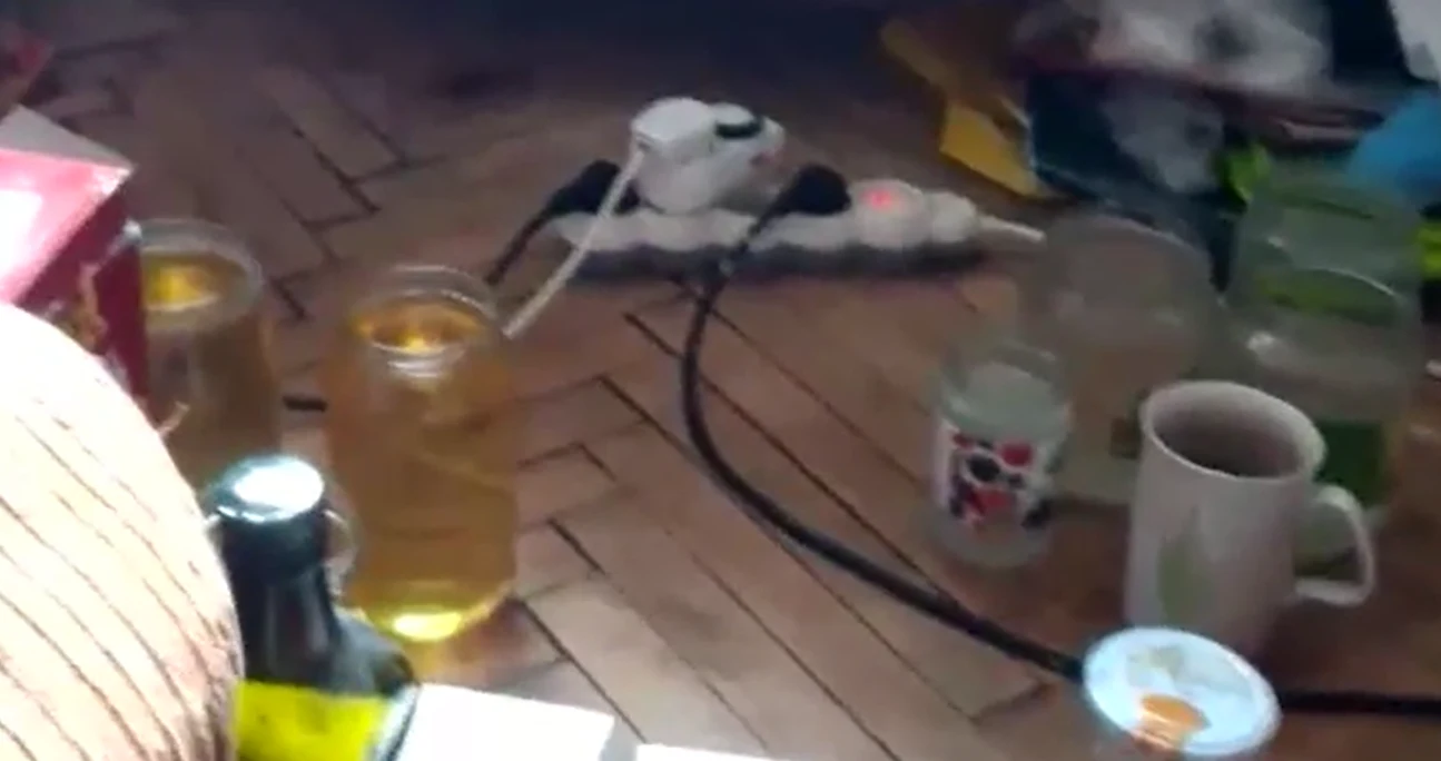 Reportaż o synu Krzysztofa Krawczyka, 'Uwaga!' TVN fot. screen - uwaga.tvn.pl Reportaż o synu Krzysztofa Krawczyka, 'Uwaga!' TVN fot. screen - uwaga.tvn.pl