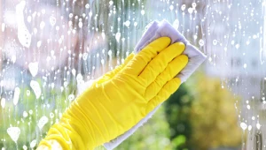 Na święta umyj okna wodą z tym składnikiem. W mig będą czyste jak łza