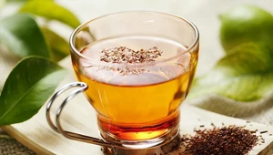 Rooibos: Warto go pić 