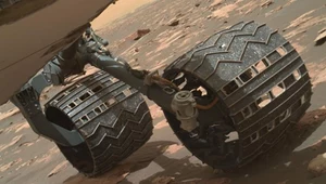 Łazik Curiosity porzuci swoje koło na Marsie?