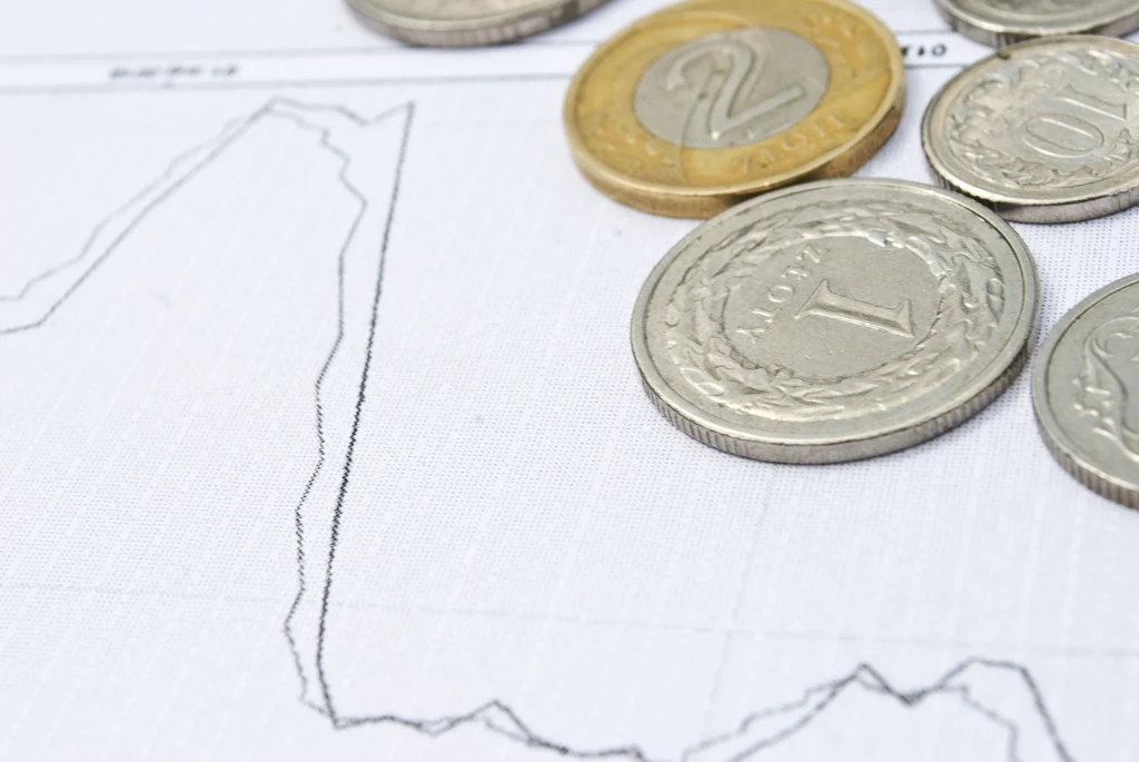 Kurs złotego reaguje na inflację Kurs złotego reaguje na inflację