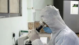 Indyjski wariant może być o 50 proc. bardziej zakaźny