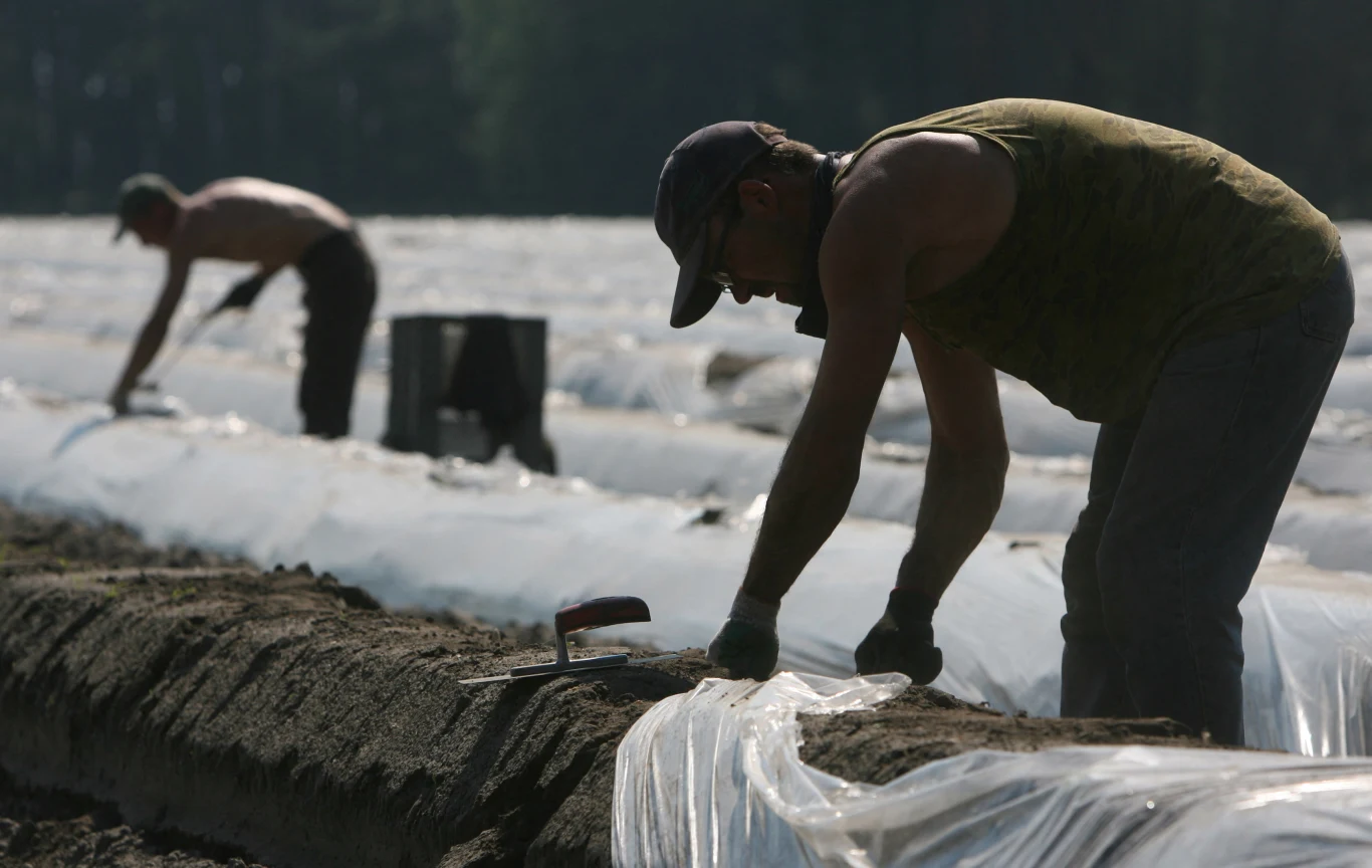 Cudzoziemcy otrzymują często stawki niższe niż minimalna krajowa - informuje Państwowa Inspekcja Pracy Cudzoziemcy otrzymują często stawki niższe niż minimalna krajowa - informuje Państwowa Inspekcja Pracy